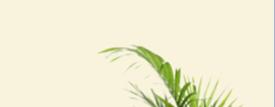 armchairwithclearbackground1