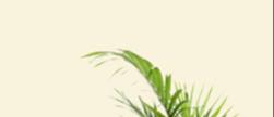armchairwithclearbackground1
