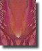 BaseChakraReflection561b