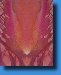 BaseChakraReflection561a