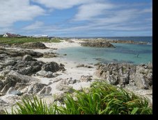 BeachatClegganCountyGalwayshowpage