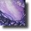 Haven561c