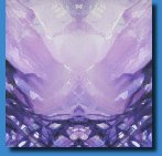 HavenReflection561
