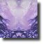 HavenReflection561b