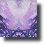 HavenReflection561c