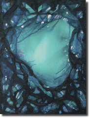 Lagoon561