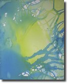 Oasis561