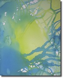 Oasis561