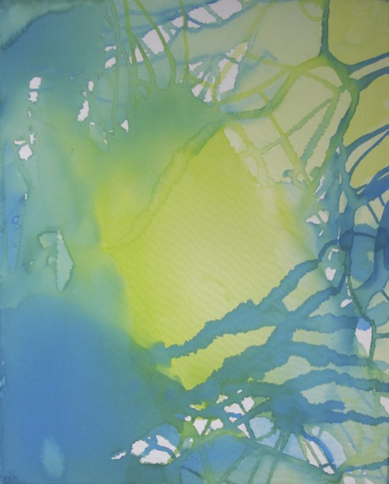 Oasis561a