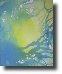 Oasis561b