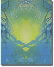 OasisReflection561
