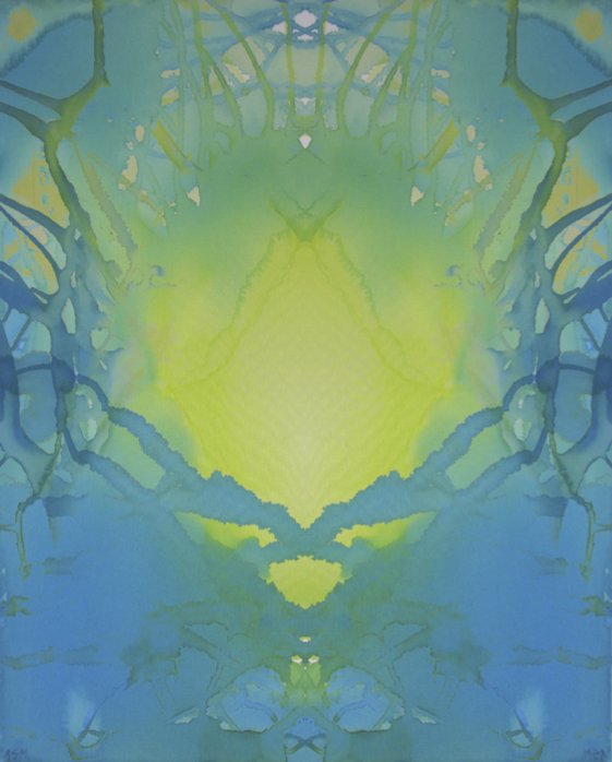 OasisReflection561a