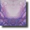 SanctuaryReflection561b