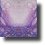 SanctuaryReflection561c