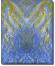 SapRisingReflection561