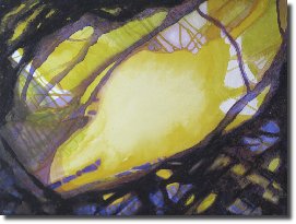 Serendipity561