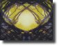 SerendipityReflection561b