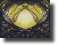 SerendipityReflection561c