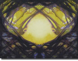 SerendipityReflection561