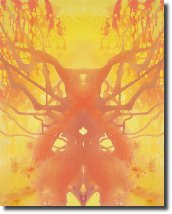 SolarPlexusChakraReflection561
