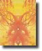 SolarPlexusChakraReflection561b