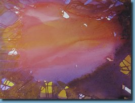 Solstice561