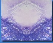 WonderReflection561