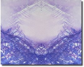 WonderReflection561